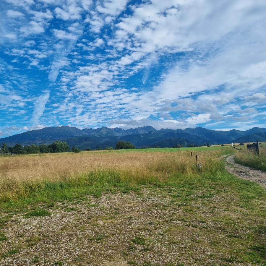 Domek Zakopane Tatrzanski Kacik Apartzakop エクステリア 写真